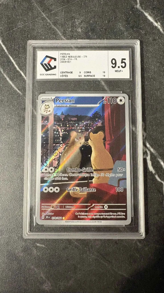 Persian SFA 078 CCC 9.5