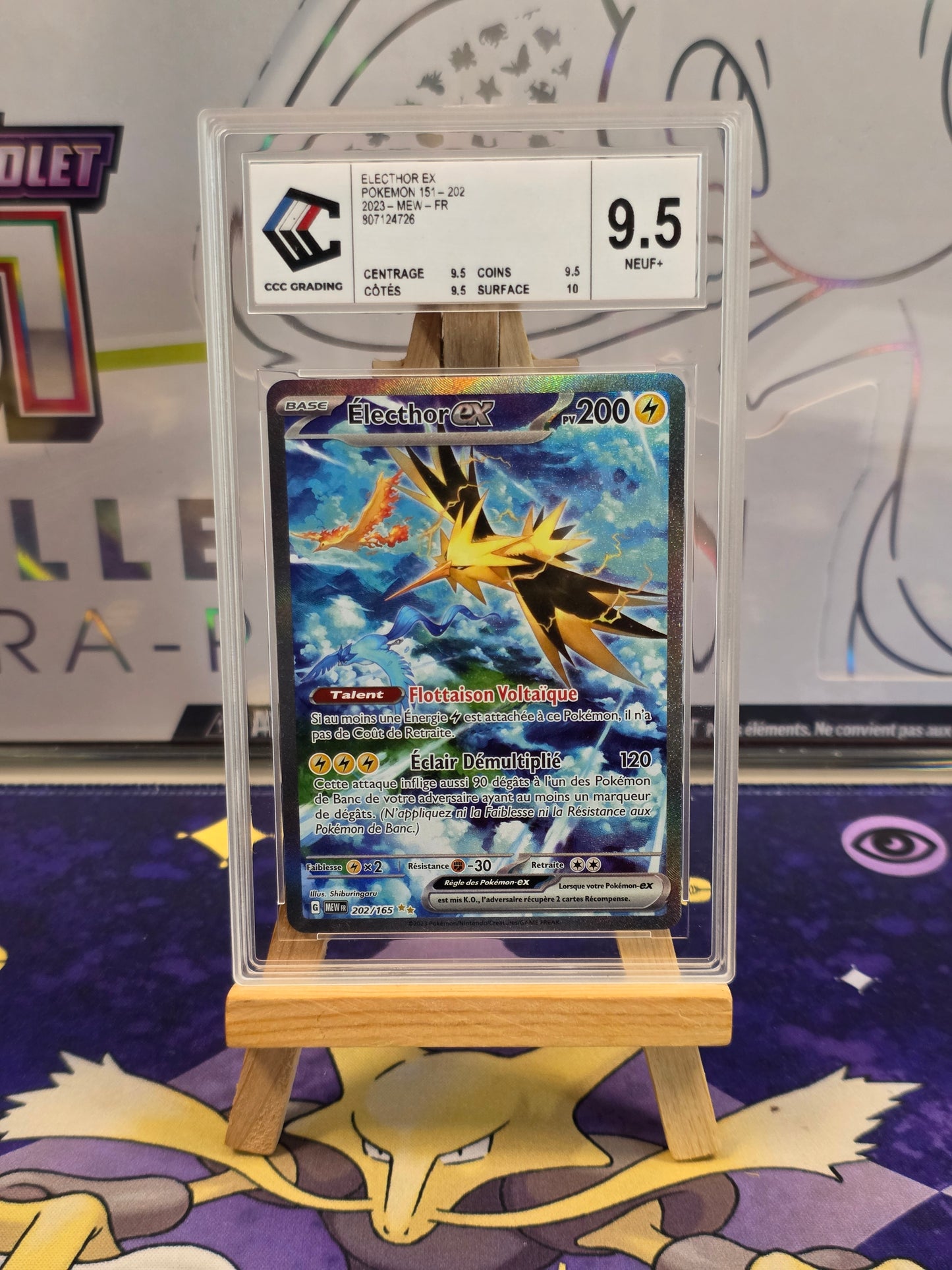 Electhor MEW 202 CCC 9.5 [2]