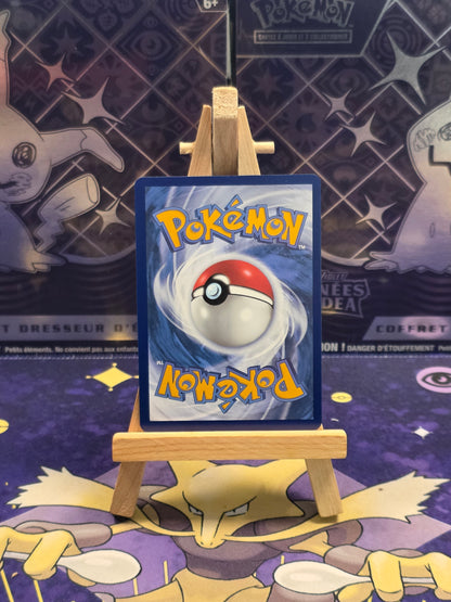 Electrode de Hisui V 172/196 [19]